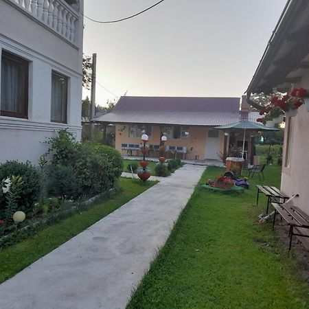 Casa Ionescu Ξενοδοχείο Sadova  Εξωτερικό φωτογραφία