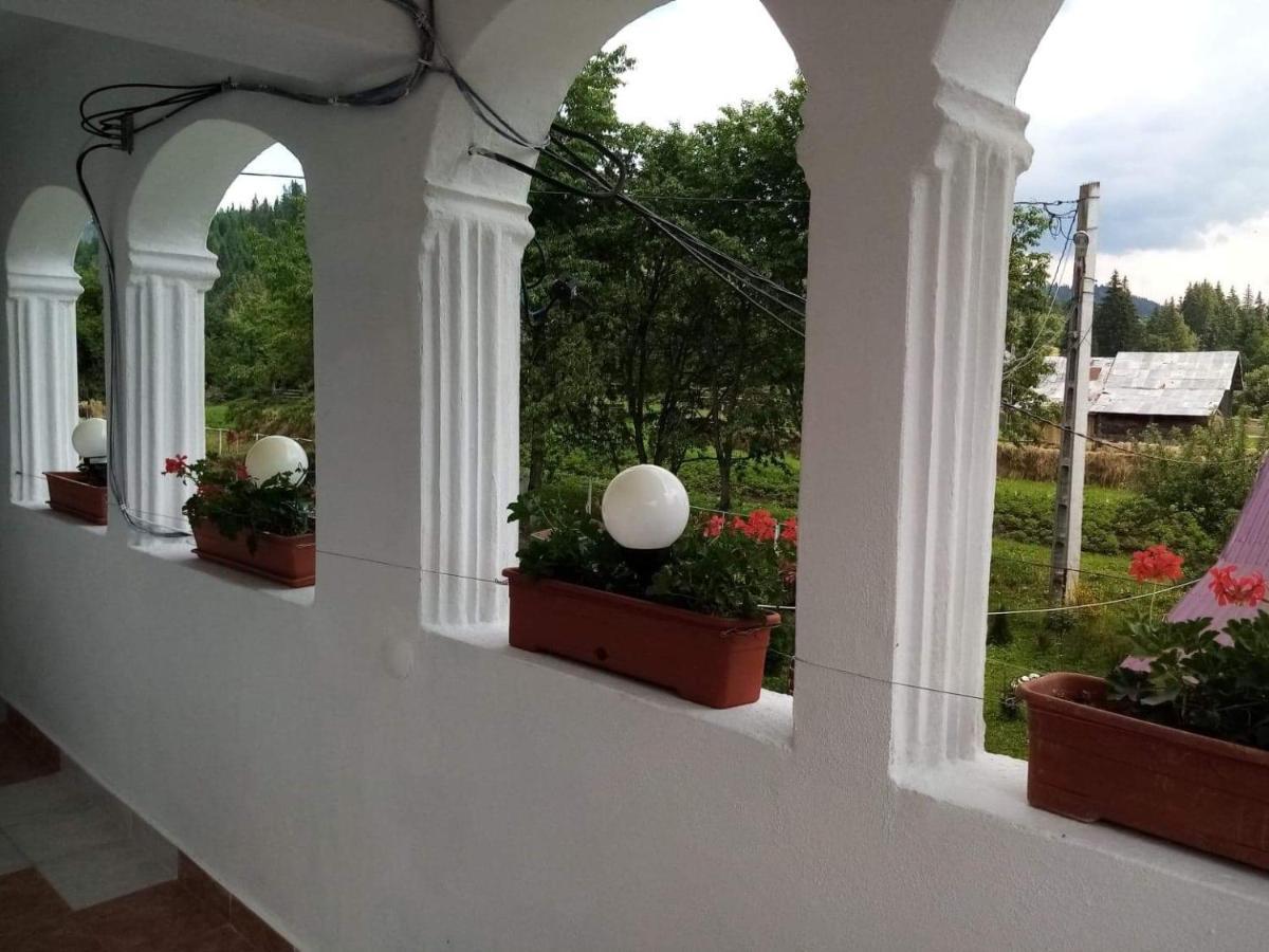 Casa Ionescu Ξενοδοχείο Sadova  Εξωτερικό φωτογραφία