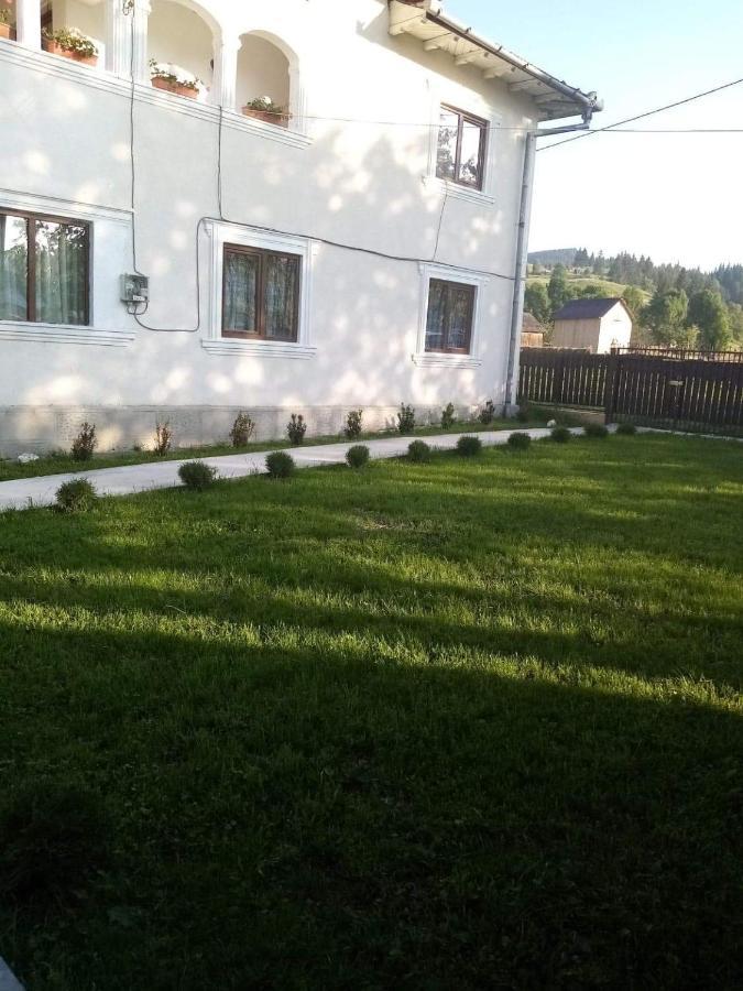 Casa Ionescu Ξενοδοχείο Sadova  Εξωτερικό φωτογραφία