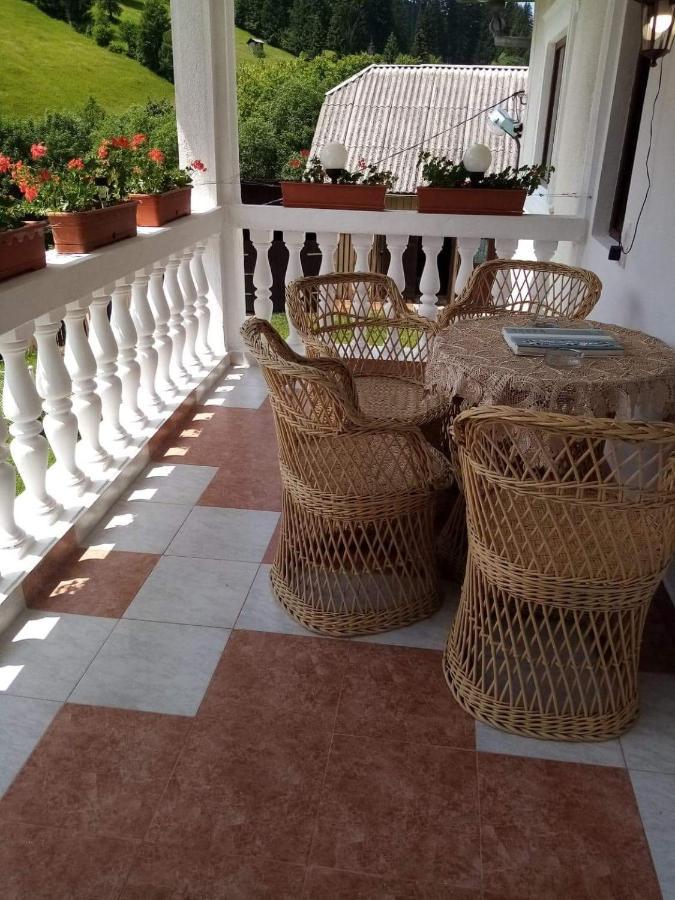 Casa Ionescu Ξενοδοχείο Sadova  Εξωτερικό φωτογραφία