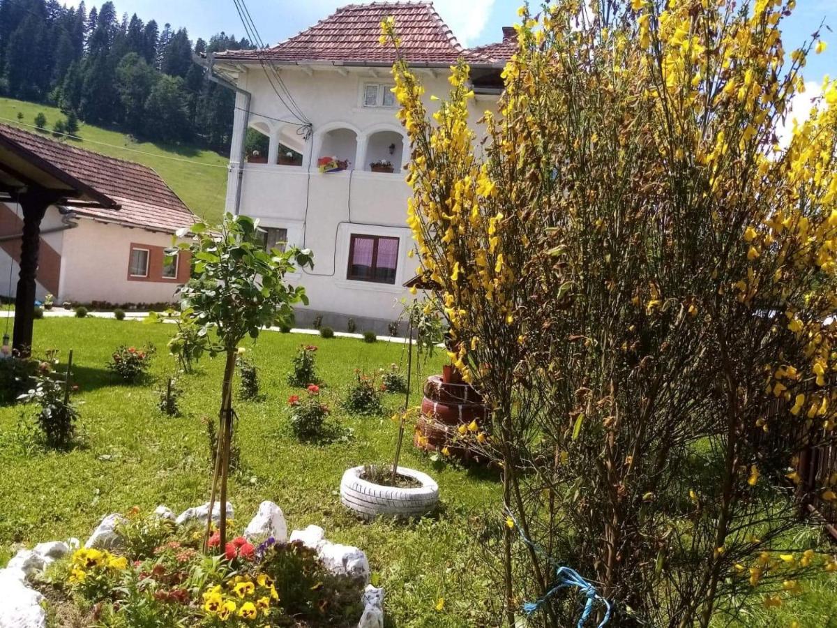 Casa Ionescu Ξενοδοχείο Sadova  Εξωτερικό φωτογραφία