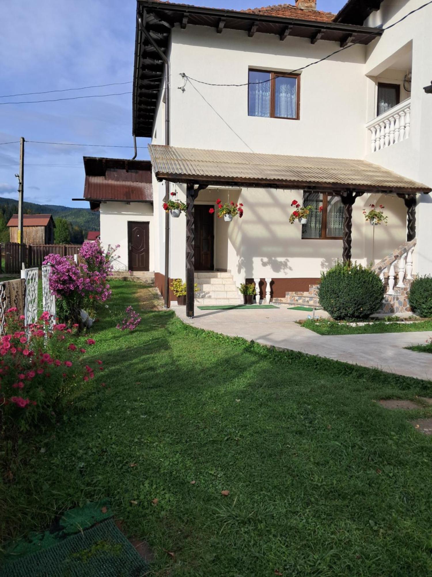 Casa Ionescu Ξενοδοχείο Sadova  Εξωτερικό φωτογραφία