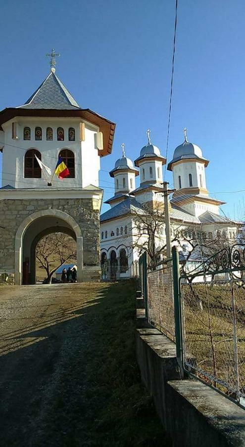 Casa Ionescu Ξενοδοχείο Sadova  Εξωτερικό φωτογραφία